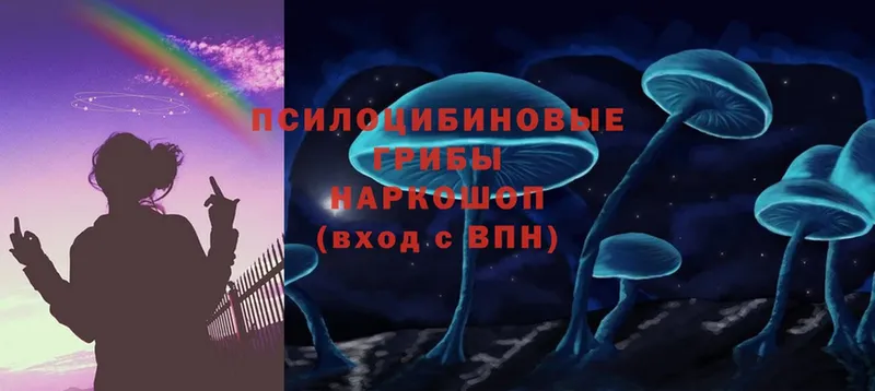 Галлюциногенные грибы Magic Shrooms  как найти закладки  Краснообск 